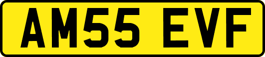 AM55EVF