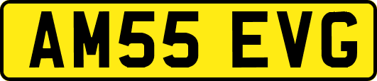 AM55EVG