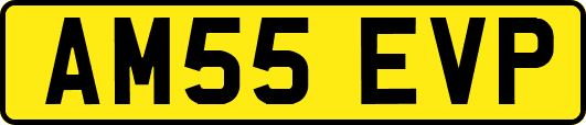 AM55EVP