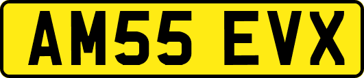AM55EVX
