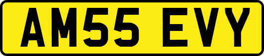 AM55EVY