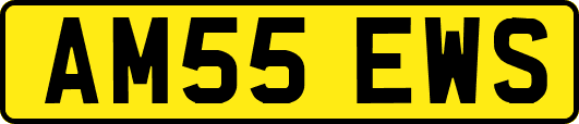 AM55EWS