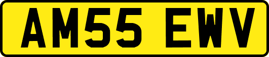 AM55EWV