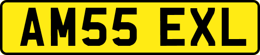 AM55EXL