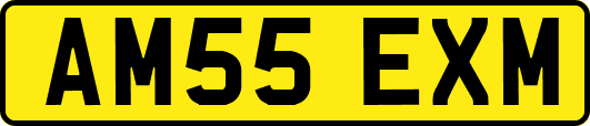 AM55EXM