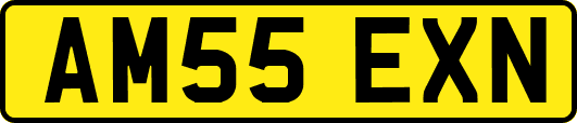 AM55EXN