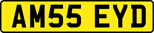 AM55EYD