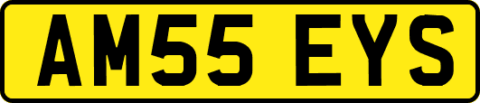 AM55EYS