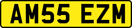 AM55EZM