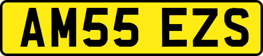 AM55EZS