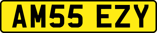 AM55EZY