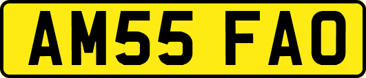 AM55FAO