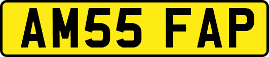 AM55FAP