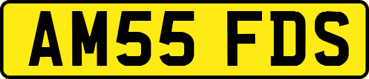 AM55FDS