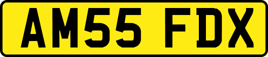 AM55FDX