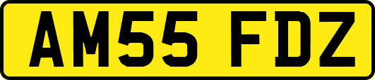 AM55FDZ