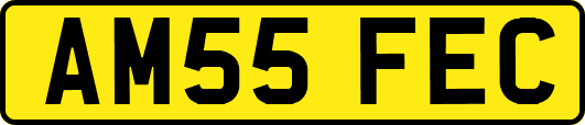 AM55FEC