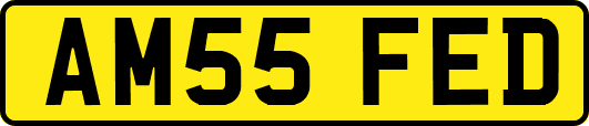 AM55FED