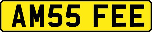 AM55FEE