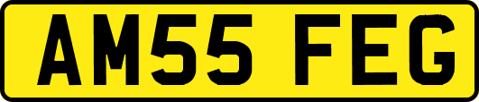 AM55FEG