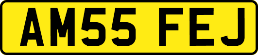 AM55FEJ