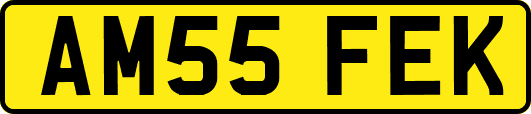 AM55FEK