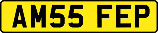 AM55FEP