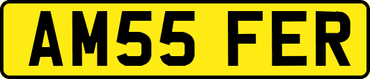 AM55FER