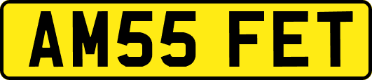 AM55FET