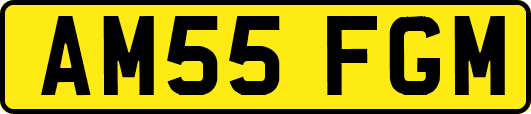 AM55FGM