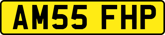 AM55FHP