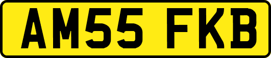 AM55FKB