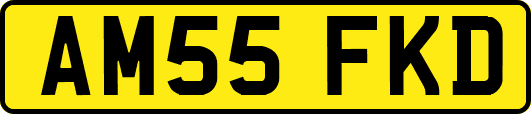AM55FKD