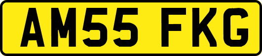 AM55FKG
