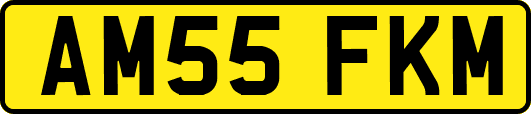 AM55FKM