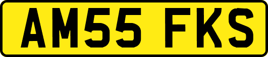 AM55FKS