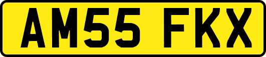 AM55FKX