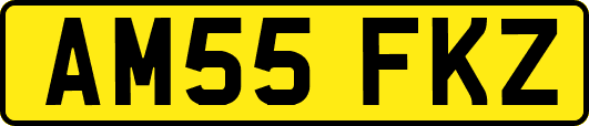 AM55FKZ