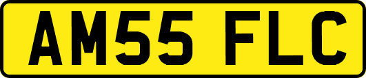 AM55FLC