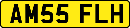 AM55FLH