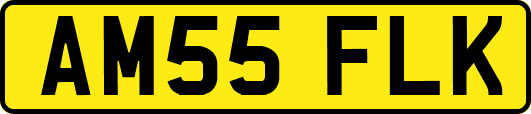 AM55FLK