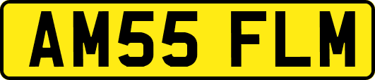 AM55FLM