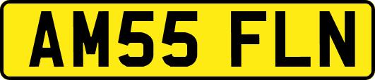 AM55FLN