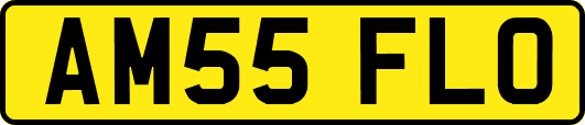 AM55FLO