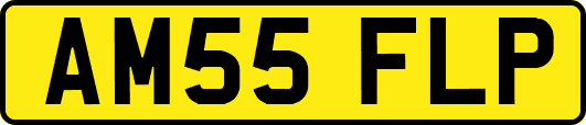 AM55FLP