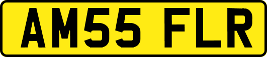 AM55FLR