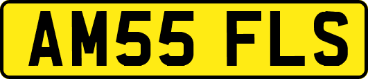 AM55FLS
