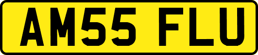AM55FLU