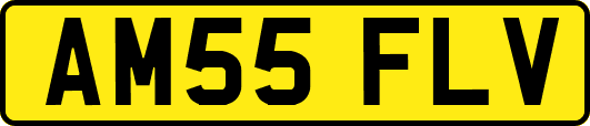 AM55FLV