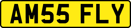 AM55FLY